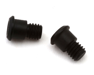 Picture of Team Associated RC10TC8 Motor Mount Screws (2)